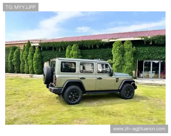 网赌是否真的由真人操作还是纯粹的程序控制用户应如何辨别真假